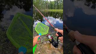 Using whatever I can catch as my bait! #fishing #fishingchallenge #FYP #trending #viral