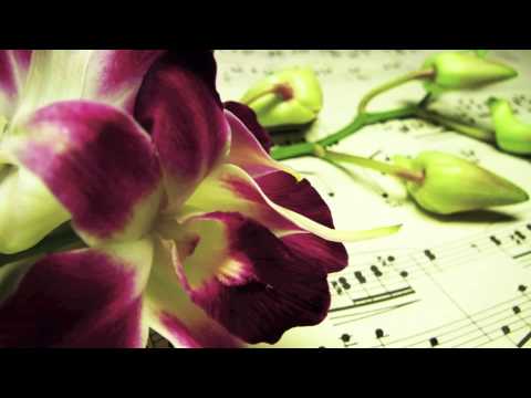 rain sounds for sleeping 10 hours Study Music:Brain Power,Spem in Alium,Relaxing Music,Concentration Music & Focus on Learning