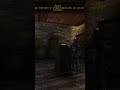 DOSTA WIELKI PRZYPA W GOTHIC 2 NK shorts gaming gothic 