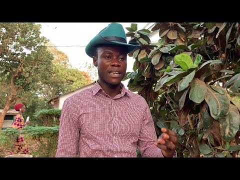 THE TRUTH ABOUT SIERRA LEONEAN UNIVERSITIES||The system is...!!!