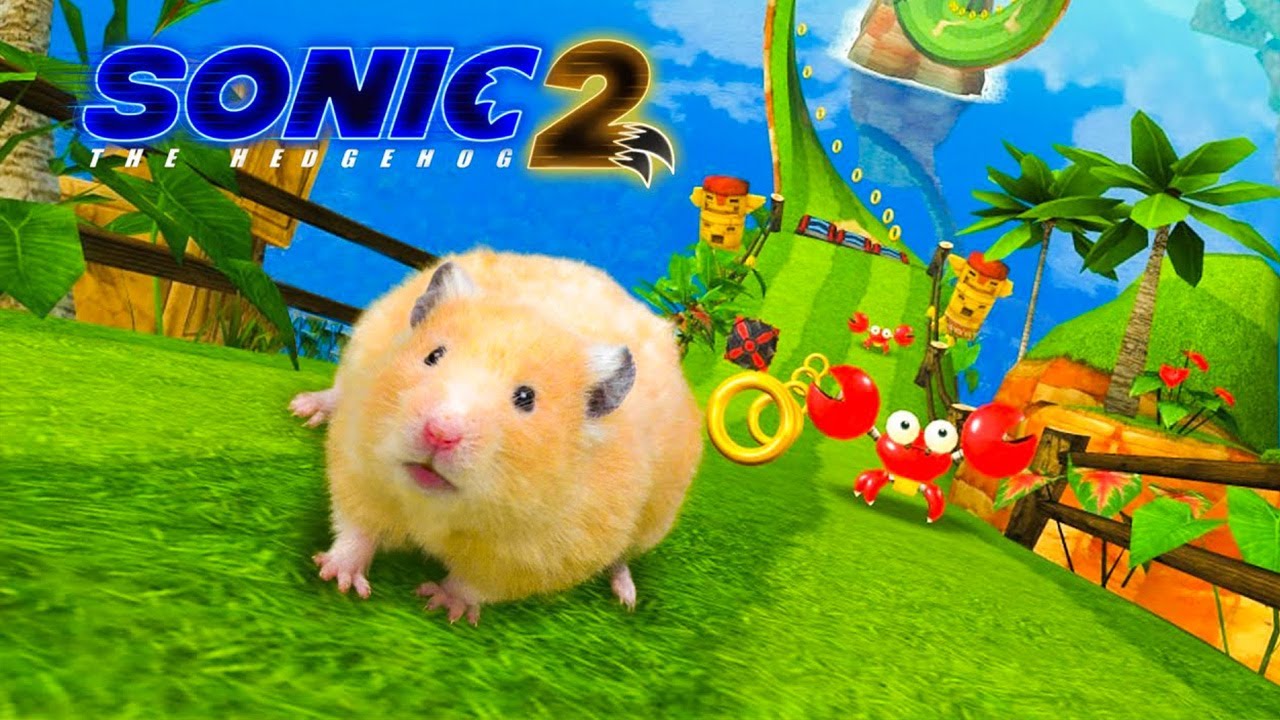 Hamster's Thrilling Adventure in Sonic's World! | Hamster Maze