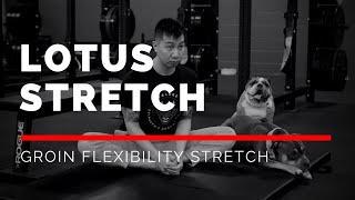 Sports Performance Lotus Stretch (EASY GROIN Stretching Exercise)