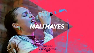 Mali Hayes - Forgive You (Introducing LIVE 2021)