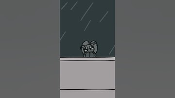 Let me in :( #animation #cute #moth #letmein