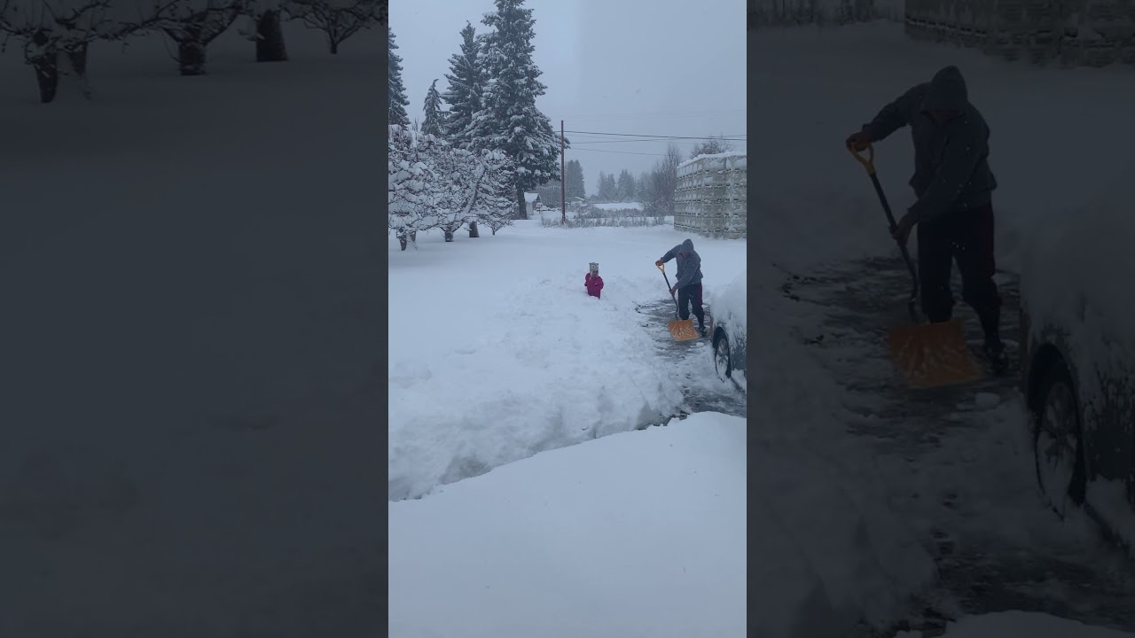 First day of snow in Parkdale Oregon YouTube