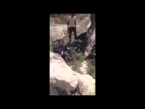 ערבים מכים באכזריות יהודים חרדים 