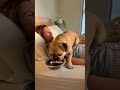 🍽️🐶🛏️ “So Hungry I Took My Bowl to Grandma’s Bed.” 😂  #viralshort #funny#dog