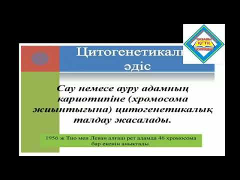 Video: Зиготанын хромосома саны барбы?