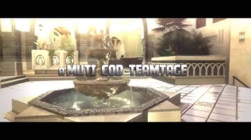 Animosity - A Multi-Cod Team Tage Trailer