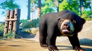 Sun Bear Habitat Speed Build Planet Zoo Southeast Asia Animal Pack