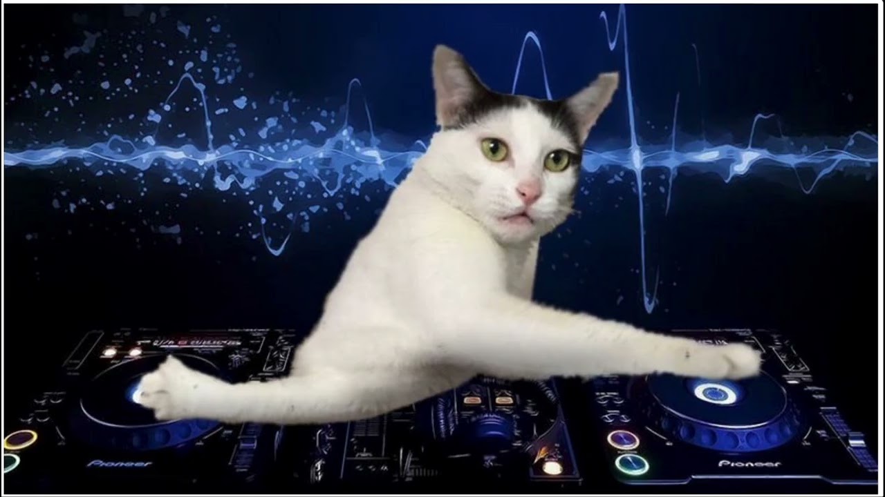 2026 새해 드라이브 하면서 듣기 좋은 신나는 EDM Mixset !! / #1