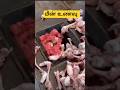 #சிக்கன் #கோழிப்பண்ணை #மீன்உணவு#jfc835 #food #onetouch #streetfood #funny #தமிழ்ஷாட்ஸ் #shortvideo