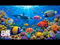 Mesmerizing Sea Animals in 8K ULTRA HD 🐠 Explore the Deep Ocean World