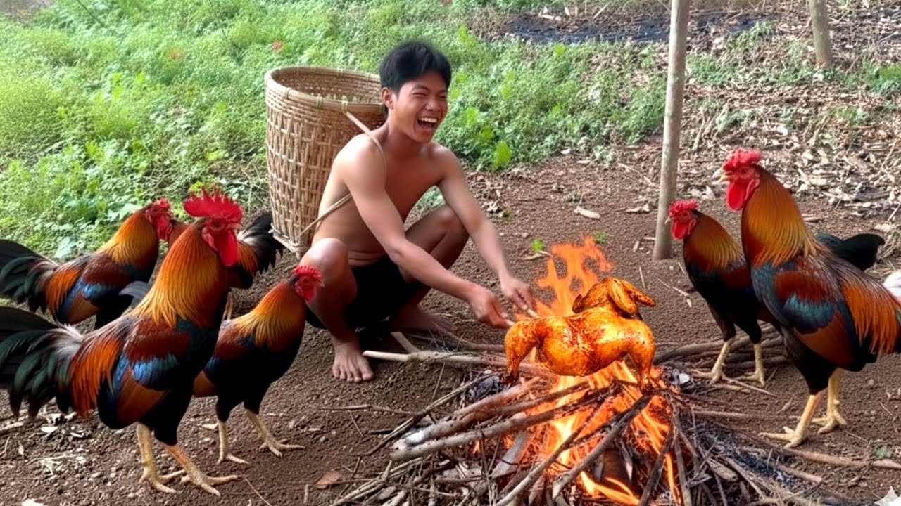 catching jungle fowl and making grilled chicken || life jungle boy
