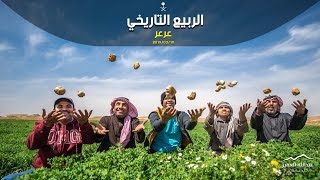 كشتة ربيع عرعر التاريخي | فقع | ..Spring of Arar - KSA