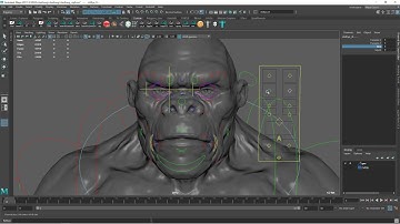 Clay Kong Rig - Work in Progress
