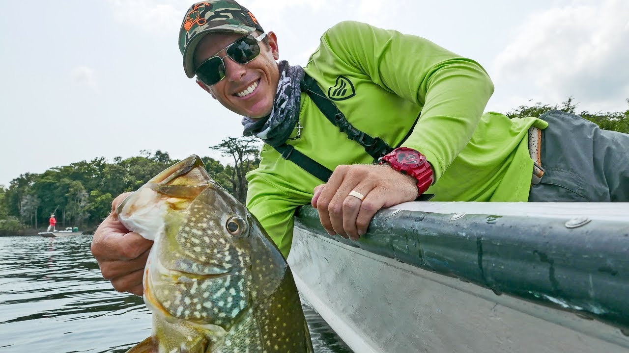 Fishing Jigs on Trees in the Amazon River 4K Peacock Bass Fishing pt. 6