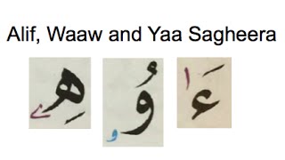 Alif Sagheera, Waaw Sagheera, Yaa Sagheera - Diacritical Marks - Section 2 Lesson 3