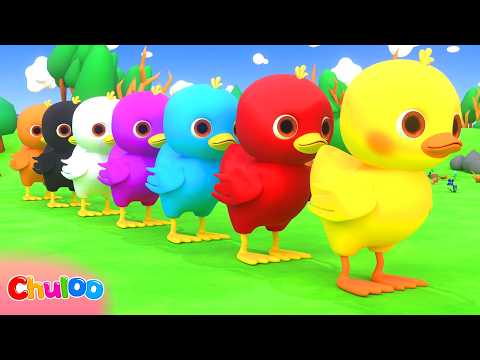 Cinco Patinhos (Canção das Cores) | Músicas Infantis | ChuLoo em Português – Canções Infantis