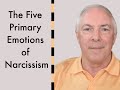 The 5 Primary Emotions Of Narcissism