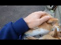 おしごとおつかれさま!!!