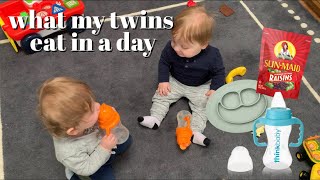 what my one year old twins eat in a day