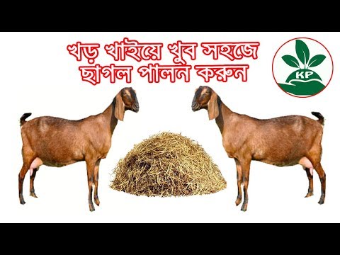 ভিডিও: কীভাবে খাবার সরবরাহ করা যায়