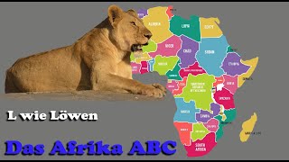 Afrika ABC, L wie Löwen