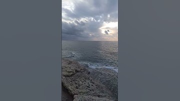 لتجزى كل نفس بما تسعى - تلاوة رائعة