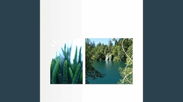 Paradise Like Backdrops for Sweet December