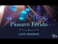 Noemi Nonato - Pássaro Ferido (Live Session)