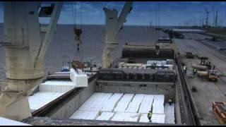 Spotted Mv. Wisa Forest