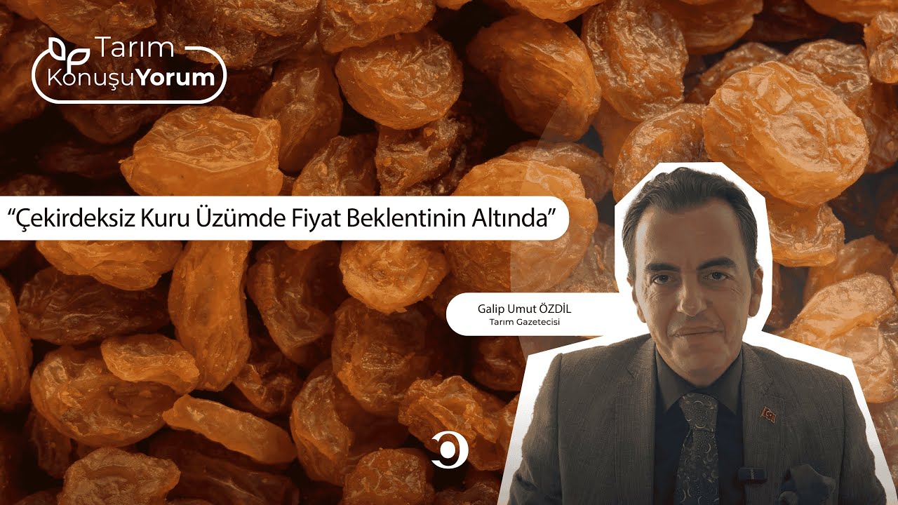 Çekirdeksiz Kuru Üzümde Fiyat Beklentinin Altında