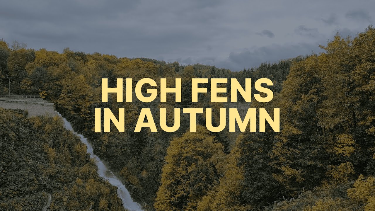 High Fens in Autumn (Belgium, 2025)