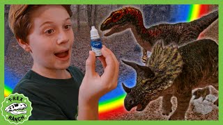 Search for the Baby Dinosaurs & Science Experiment! | TRex Ranch Dinosaur Videos for Kids