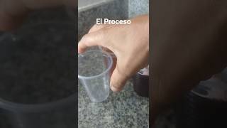 #como se hace veelo hasta el final