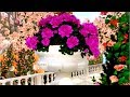 Fur Elise ( Ludwig van Beethoven ) - Richard Clayderman