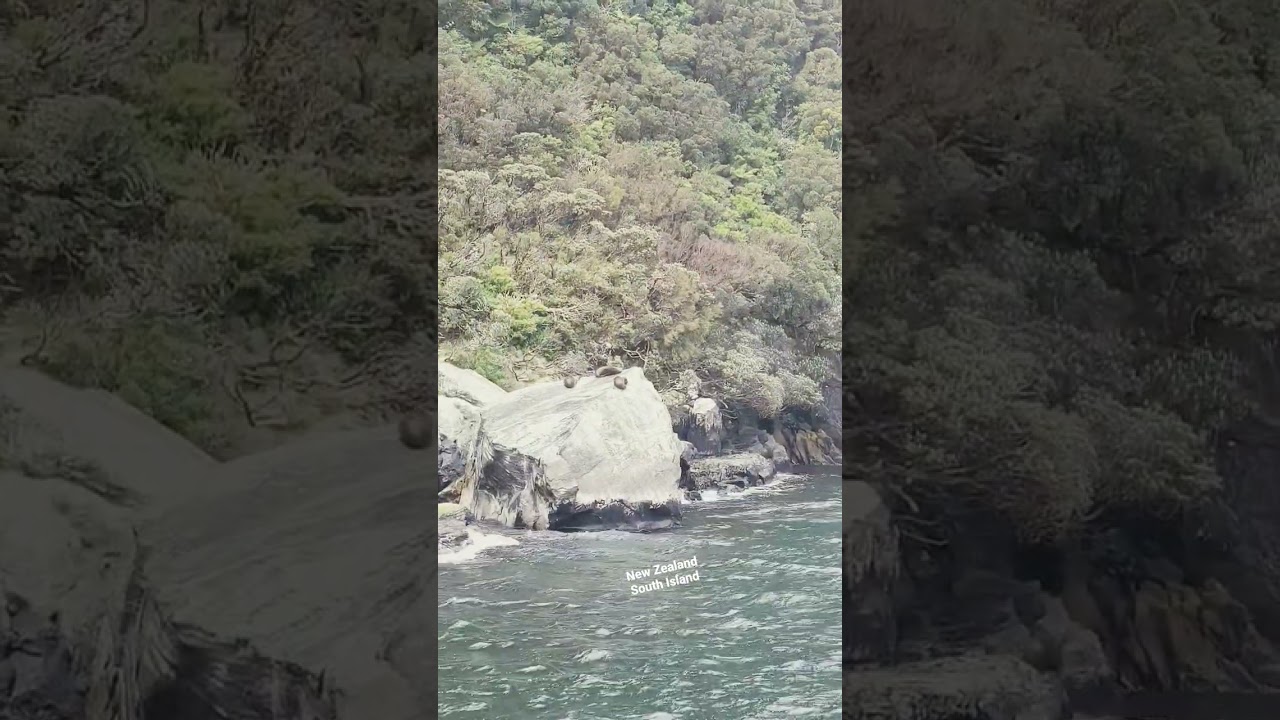 New Zealand South Island #mytripmyadventure #nature #NZ (get freeby in my description)