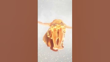 Thumbnail of #newmusic "Firefly" from Esoterica