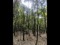 WORLD WILDLIFE DAY 2021 | विश्व वन्यजन्तु दिवस २०२१