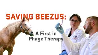 Saving Beezus A First in Phage Therapy