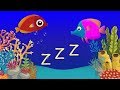 Música para Dormir Bebés y Animación Relajante de Peces