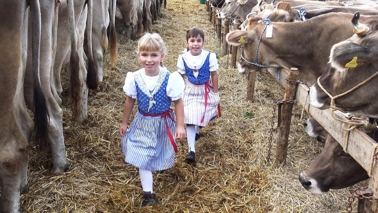 Viehschau Bächli (Hemberg) 2019