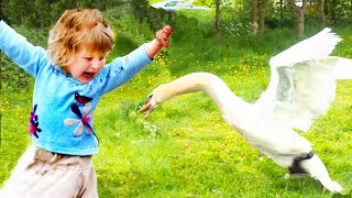 Funniest Baby And Animal Compilation Video #3 by Lovers Baby 957 views 1 year ago 1 minute, 25 seconds