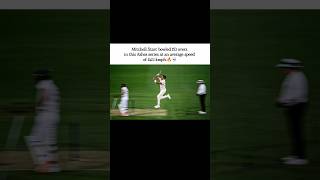 Mitchell Starc bowled 153 overs in this Ashes series at an average speed of 142.1 kmph.🔥|#ashes