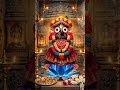 🙏 Feel the Divine Power of Lord Jagannath | Bhakti Vibes 🕉️🚩