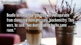 🌦 Top 7 Quotes of Warren Weaver - Scientist