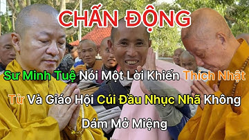 CHẤN ĐỘNG: Sư Minh Tuệ Nói Một Lời Khiến Thích Nhật Từ, Giáo Hội Cúi Đầu Nhục Nhã Không Dám Mở Miệng
