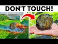 If You Find That Rock in Your Yard, Don't Touch It At All