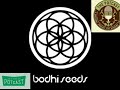 Episode 10  bodhi of bodhi seeds  nierika  supernatural selections  010717